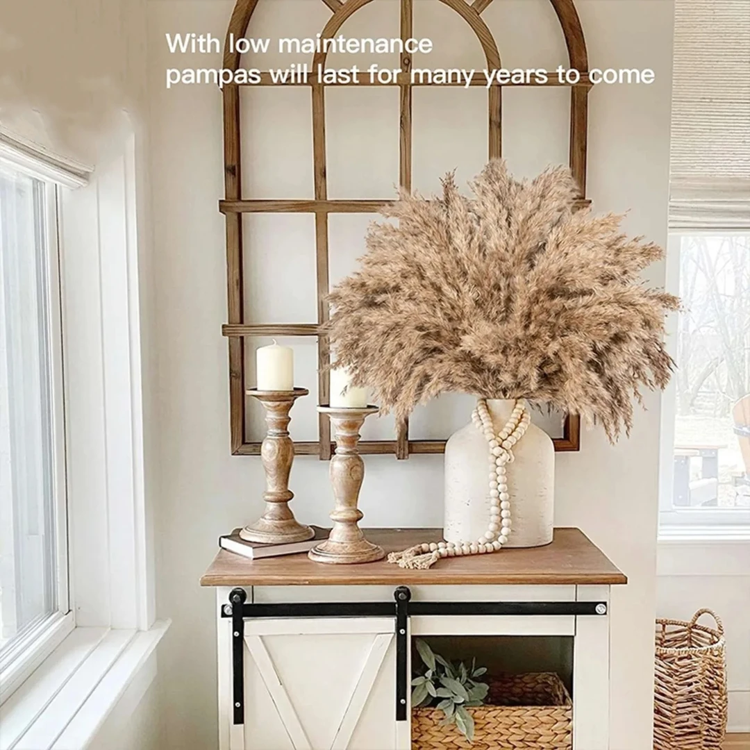 精致永生花潘帕斯干花婚礼派对装饰兔尾草芦苇花波西米亚家居装饰