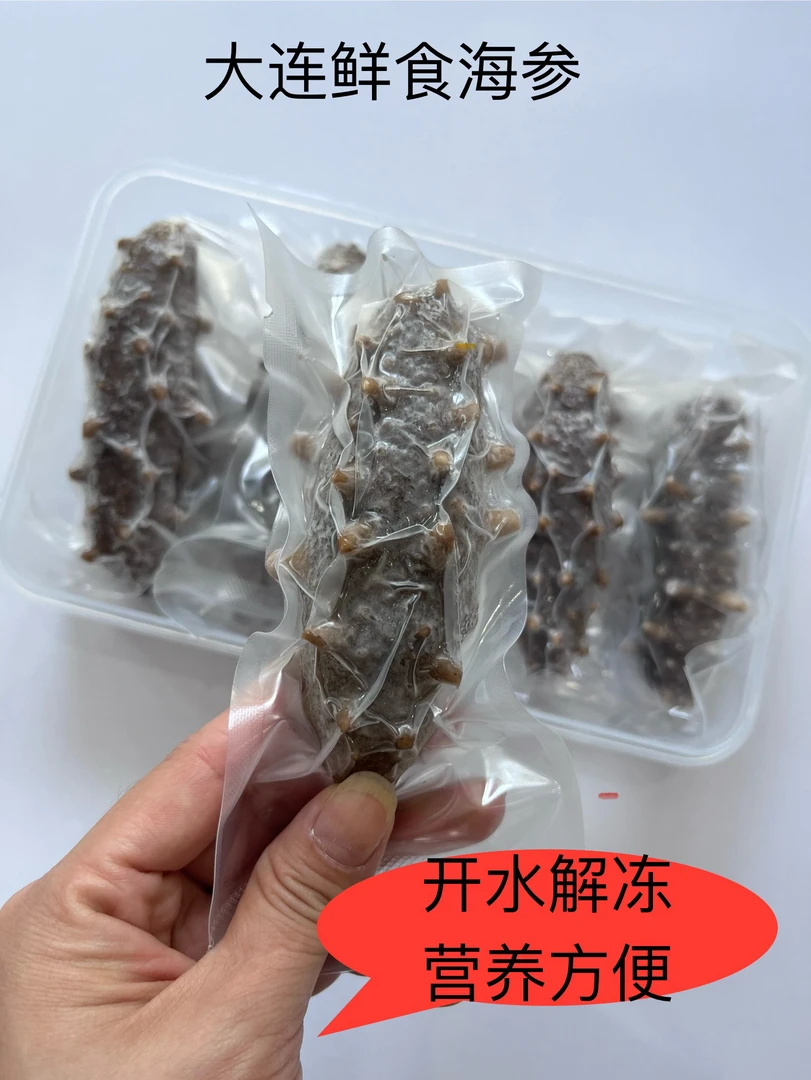 大连鲜食海参口感Q弹营养丰富500克/每只独立包装