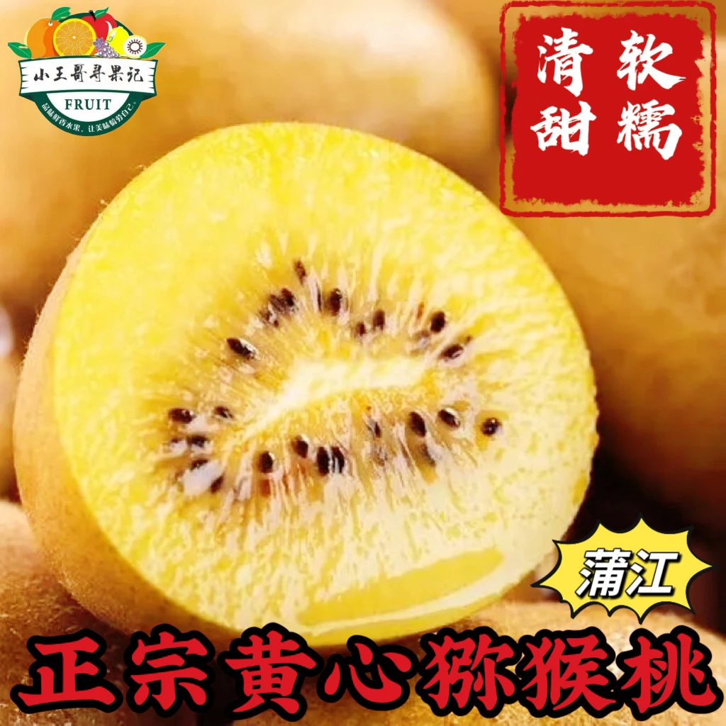 正宗四川蒲江黄心猕猴桃奇异果现摘现发当季鲜果清甜可口多汁