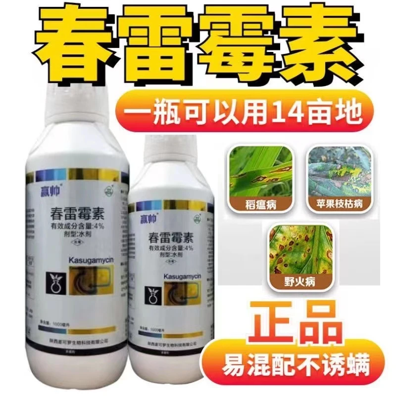 大丰收丰创严选4%春雷霉素杀菌剂稻瘟病野火病枯枝病农用水剂