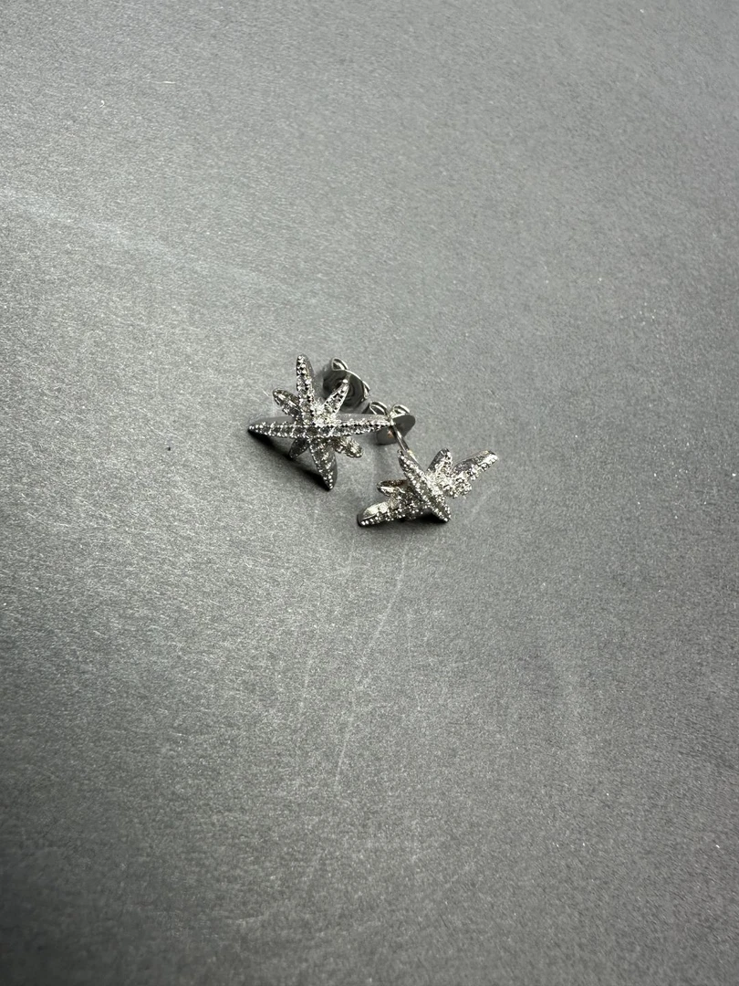 南非白钻六芒星耳钉bz7