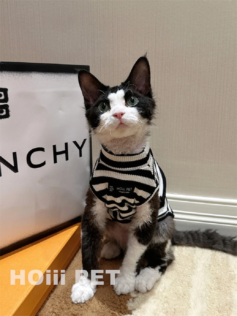 HOiii PET 弹力纯棉条纹华夫格背心德文斯芬克斯无毛猫衣服空调服