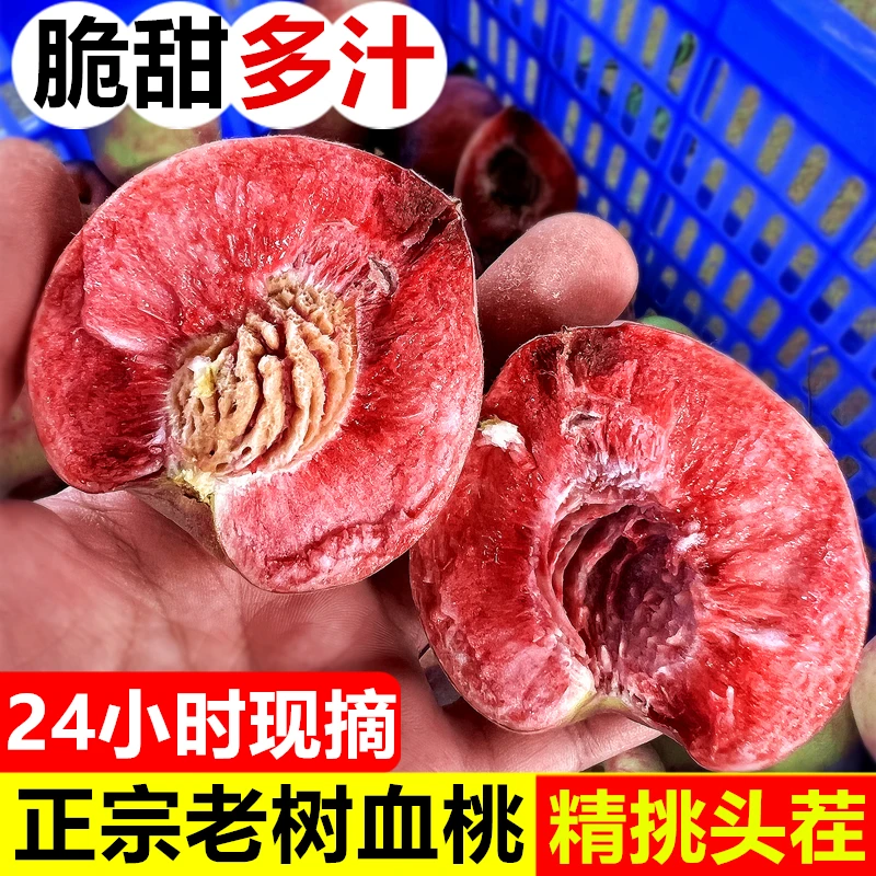5斤装】正宗猪血桃胭脂红桃老品种朱砂红桃桃子新鲜时令孕妇水果