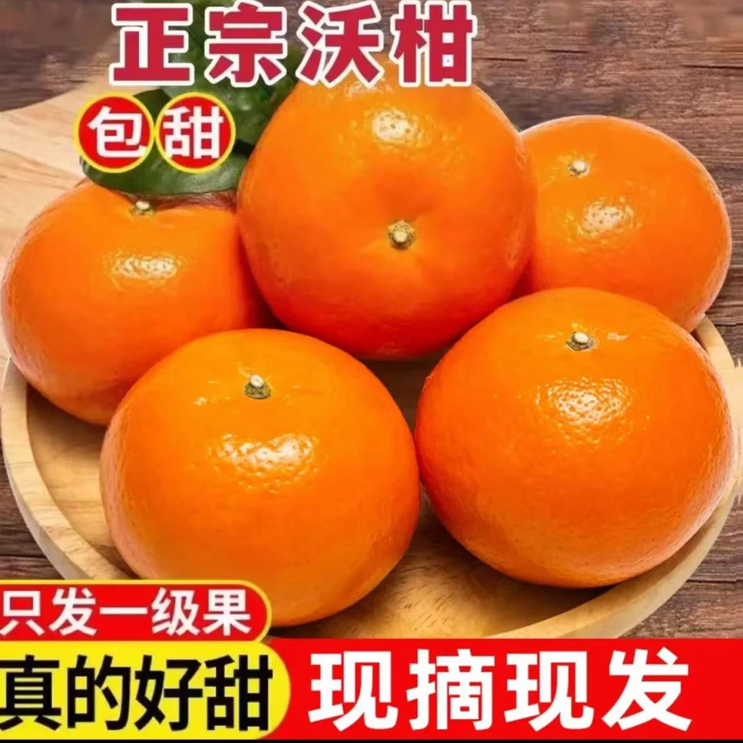 沃柑5-3斤云南橘子新鲜水果当季沙糖蜜橘砂糖柑橘大果整箱包邮