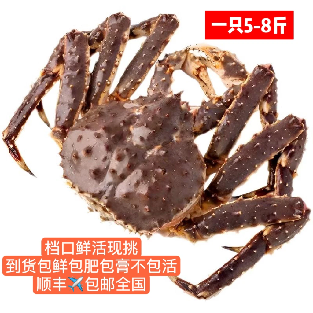 鲜活帝王蟹一只5-8斤 档口鲜活现挑到货包鲜包肥包膏不包活