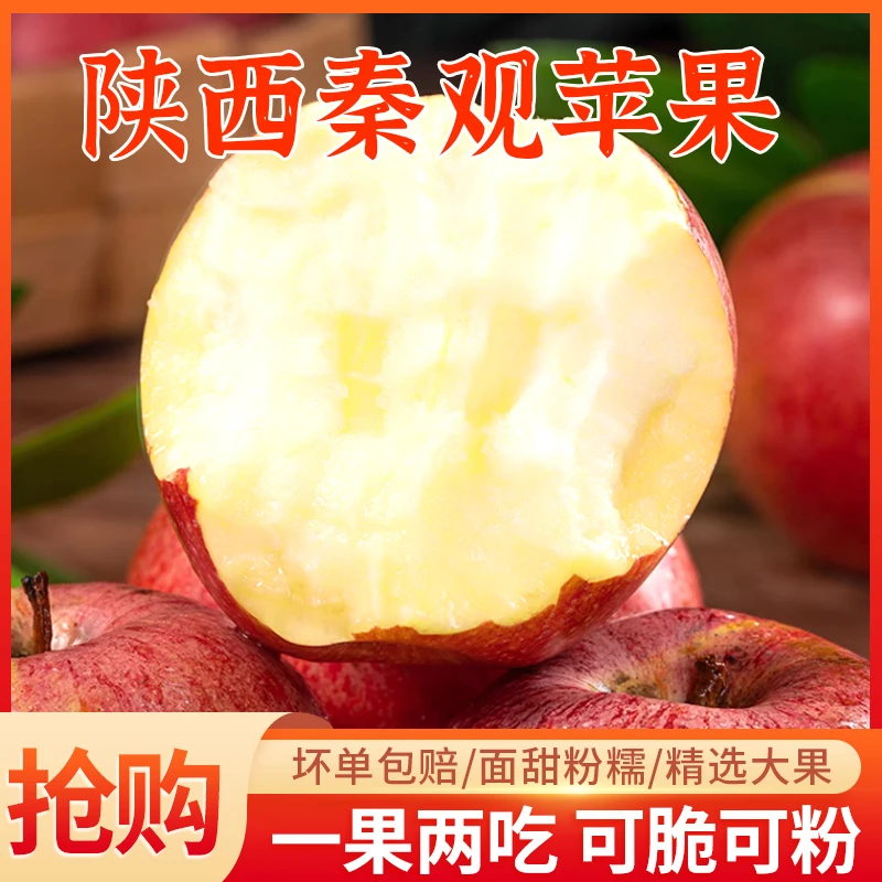 精選陝西秦觀苹果脆甜粉面的蘋果新鮮採摘自然成熟老少皆宜不催熟