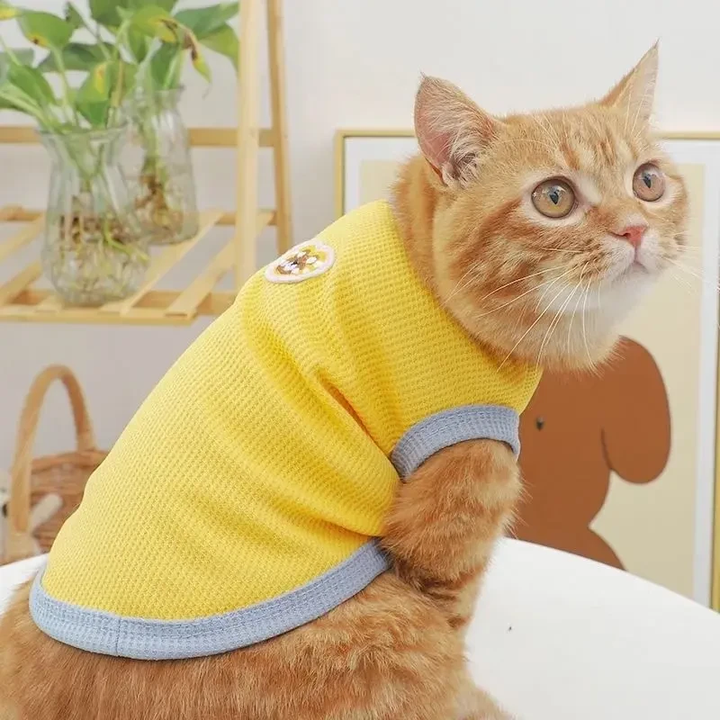 宠物服饰衣服可爱款式狗狗猫咪服装薄款小型犬秋冬两脚保暖比熊