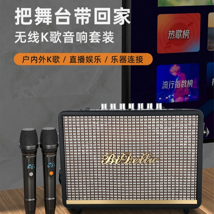 BIDELLU/比德路音响声卡一体机直播户外ktv蓝牙专业音乐音箱复古
