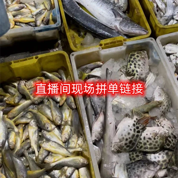 广东汕尾本港小杂鱼，发货以直播间为准