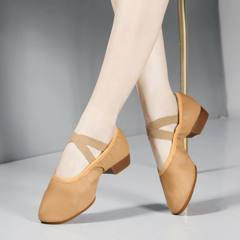 舞蹈鞋中国舞古典舞民族舞舞鞋两点软底练功鞋女士低跟中国舞古典
