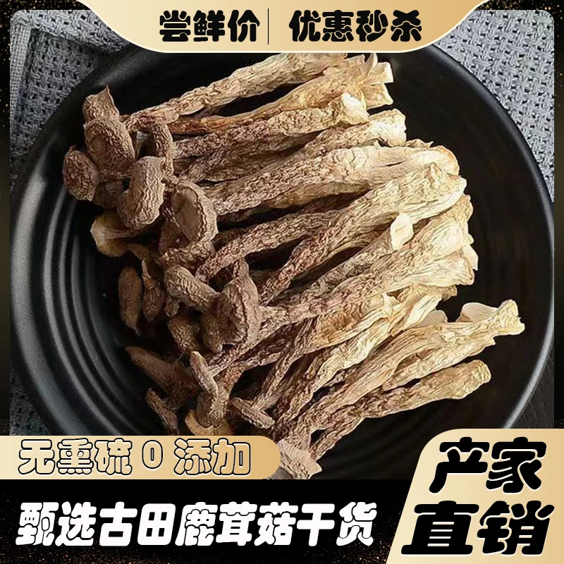 新鲜脆脆菇干货古田严选干鹿茸菌营养山货煲汤姑浓郁送礼鲜美礼品