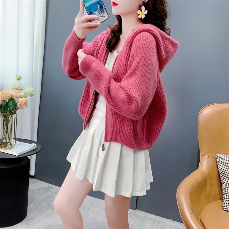 短款连帽小个子毛衣开衫女2024年新款秋季百搭设计感长袖外套上衣