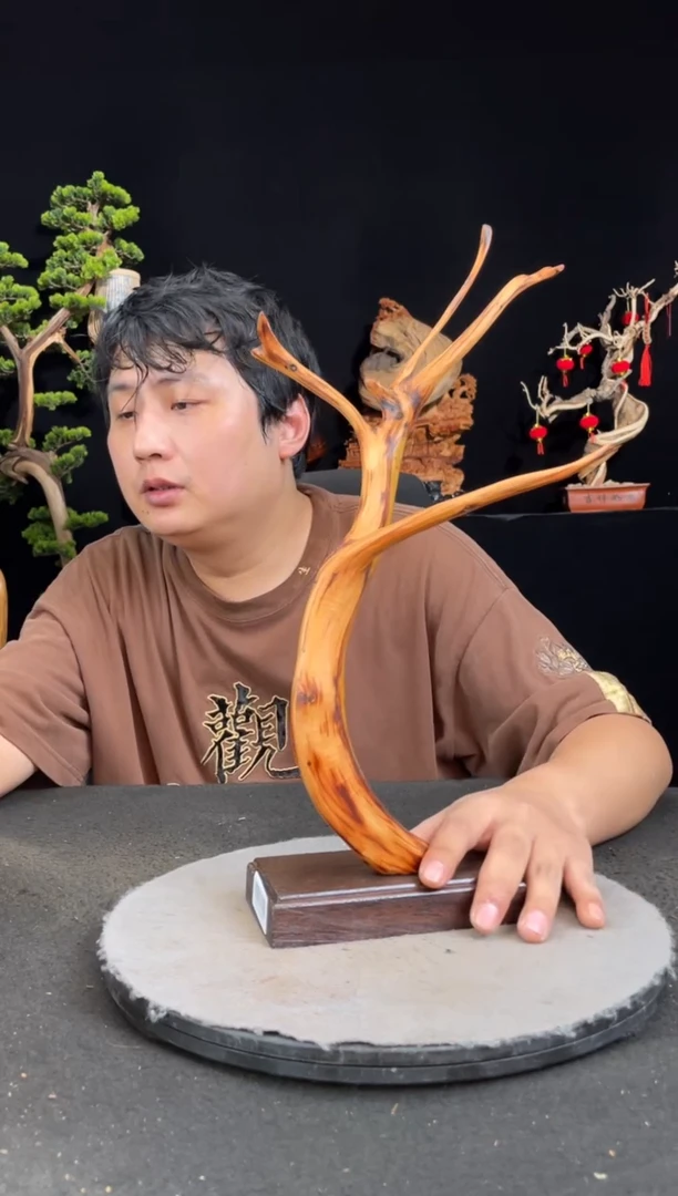 【闪购商品】柏木（崖柏）其他手工摆件,先抢先得!