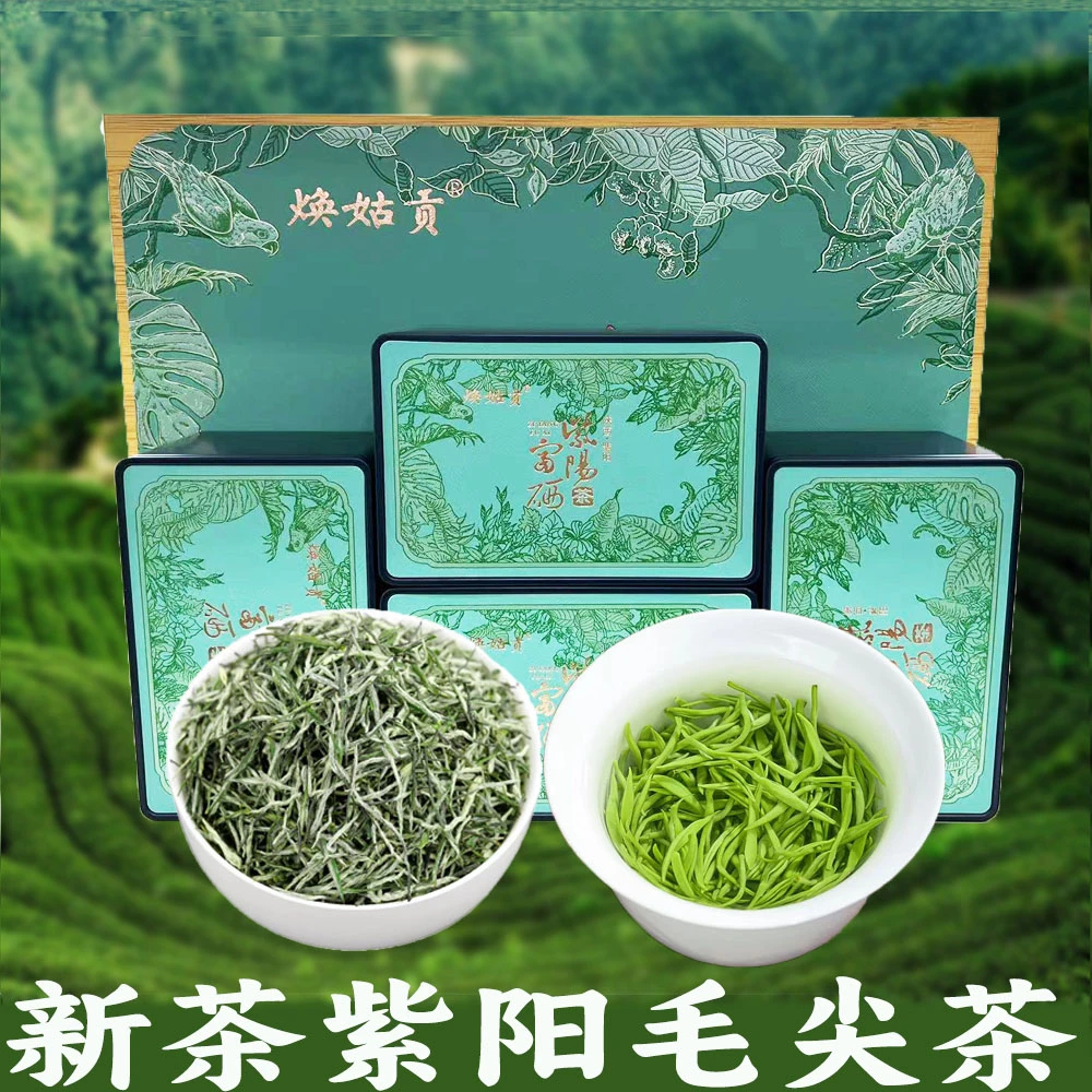 2025新茶 紫阳毛尖茶礼盒500克 春季毛尖茶翠峰茶绿茶富硒茶礼盒