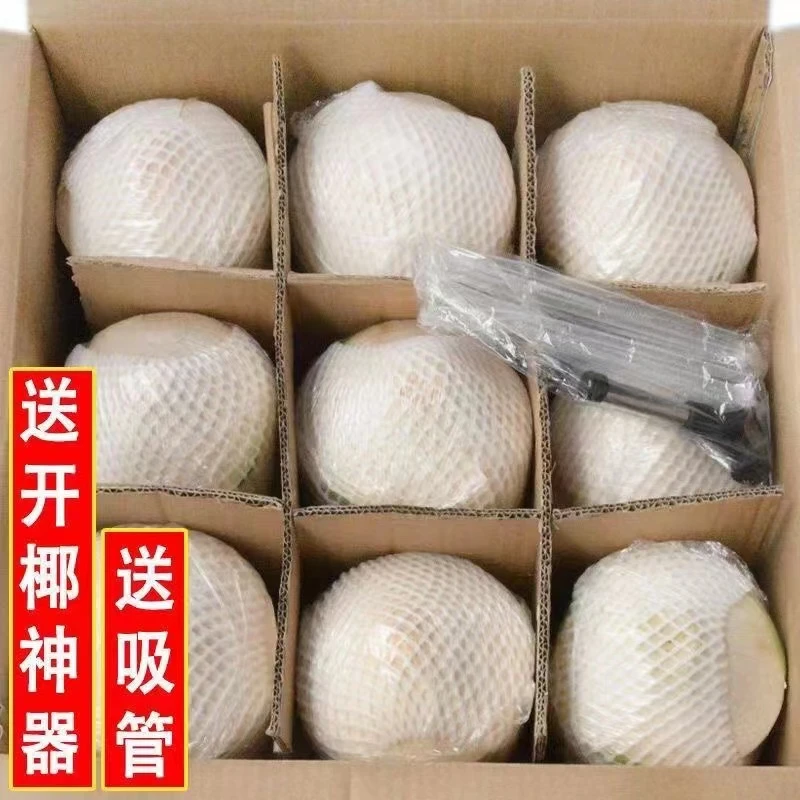 正宗椰青4/6/9个装整箱孕妇当季现摘新鲜水果去皮椰子现摘现发