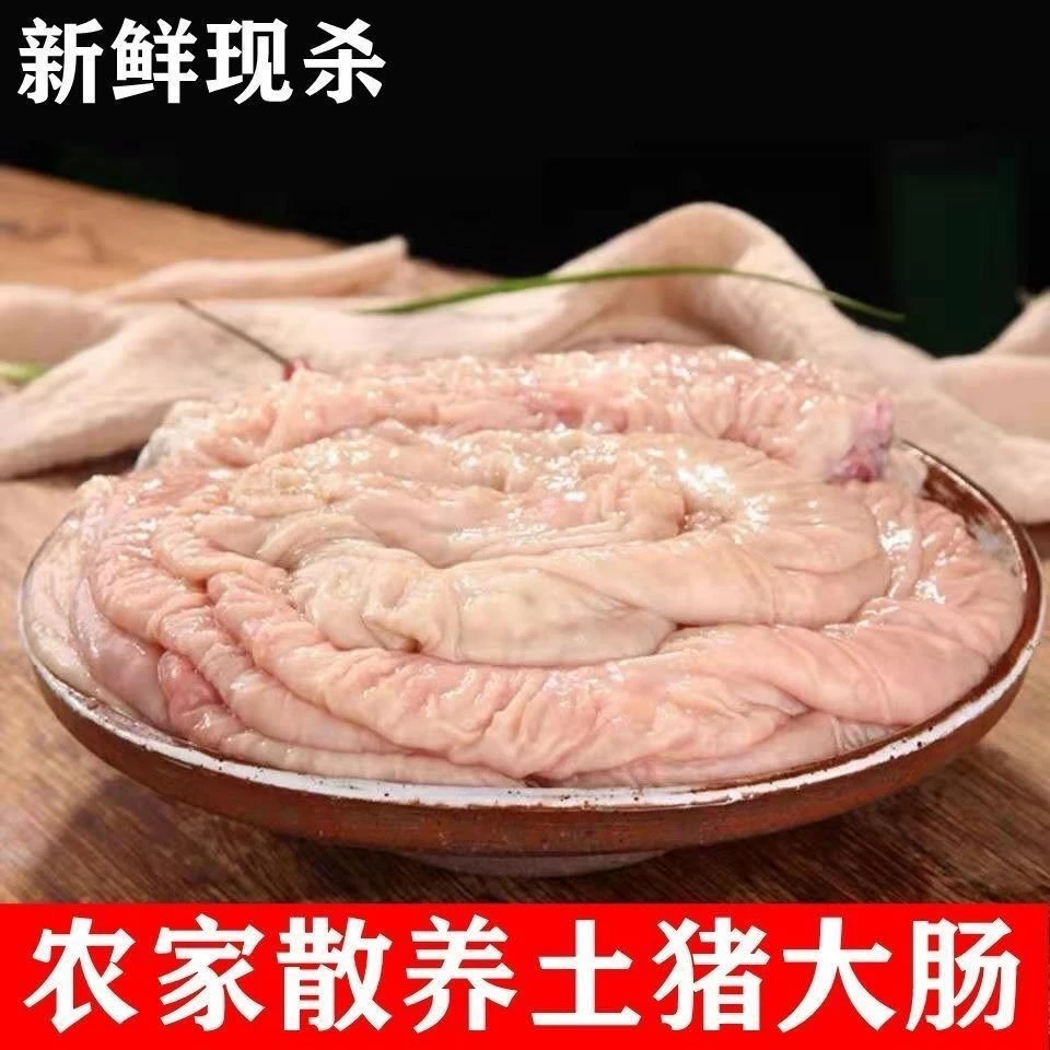 【年货】新鲜大肠鲜活肥肠猪肠头土猪肠子猪生肠生猪大肠大肠头猪