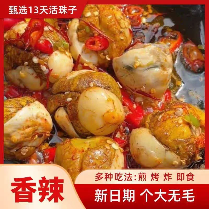 大个红皮香辣五香13天新鲜活珠子熟制鸡胚蛋喜蛋毛鸡蛋开袋即食
