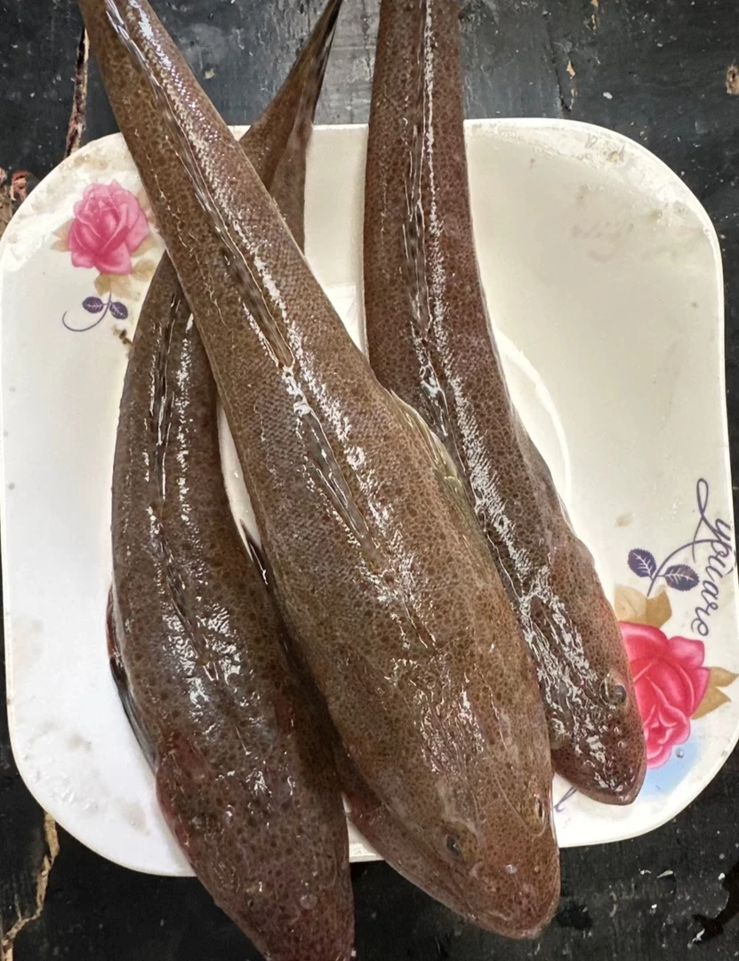 青岛发货，当地辫子鱼  5斤包邮