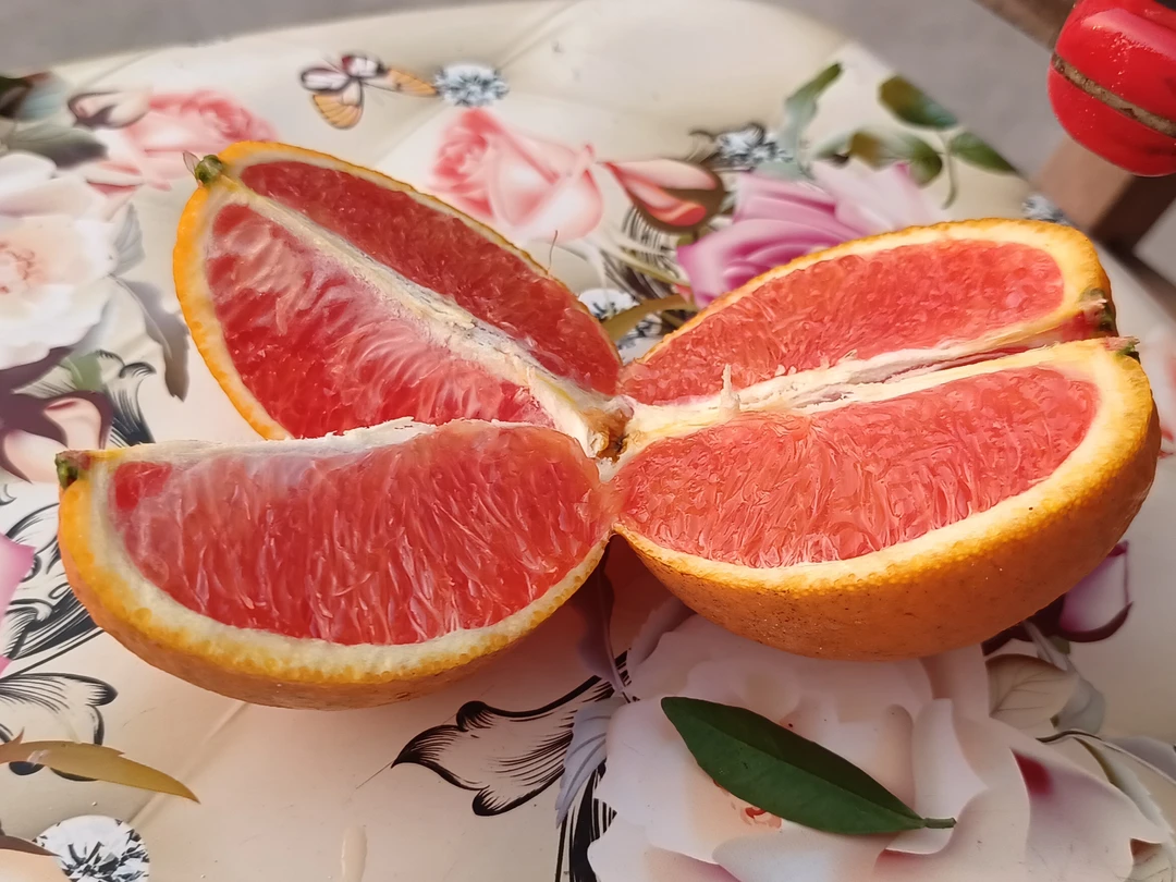 玫瑰香橙（带箱10斤）