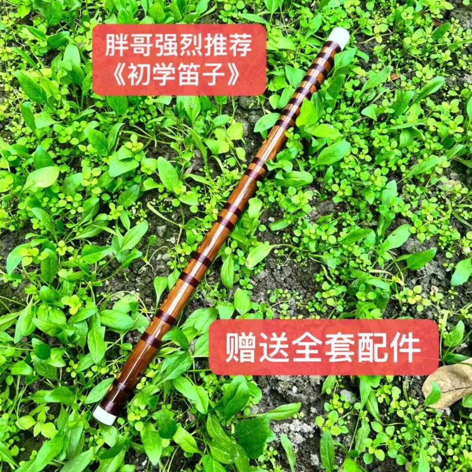 五一《福》利赠送视频教学和全套配件《胖哥严选推荐笛子》168