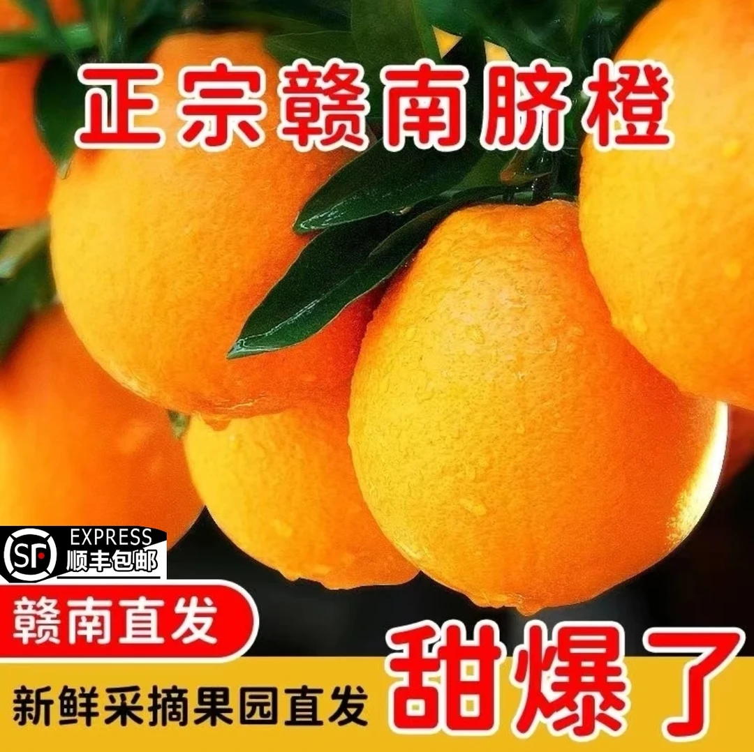 【粉丝福利】正宗赣南脐橙子江西产地直发果园直供5/10斤装水果新鲜