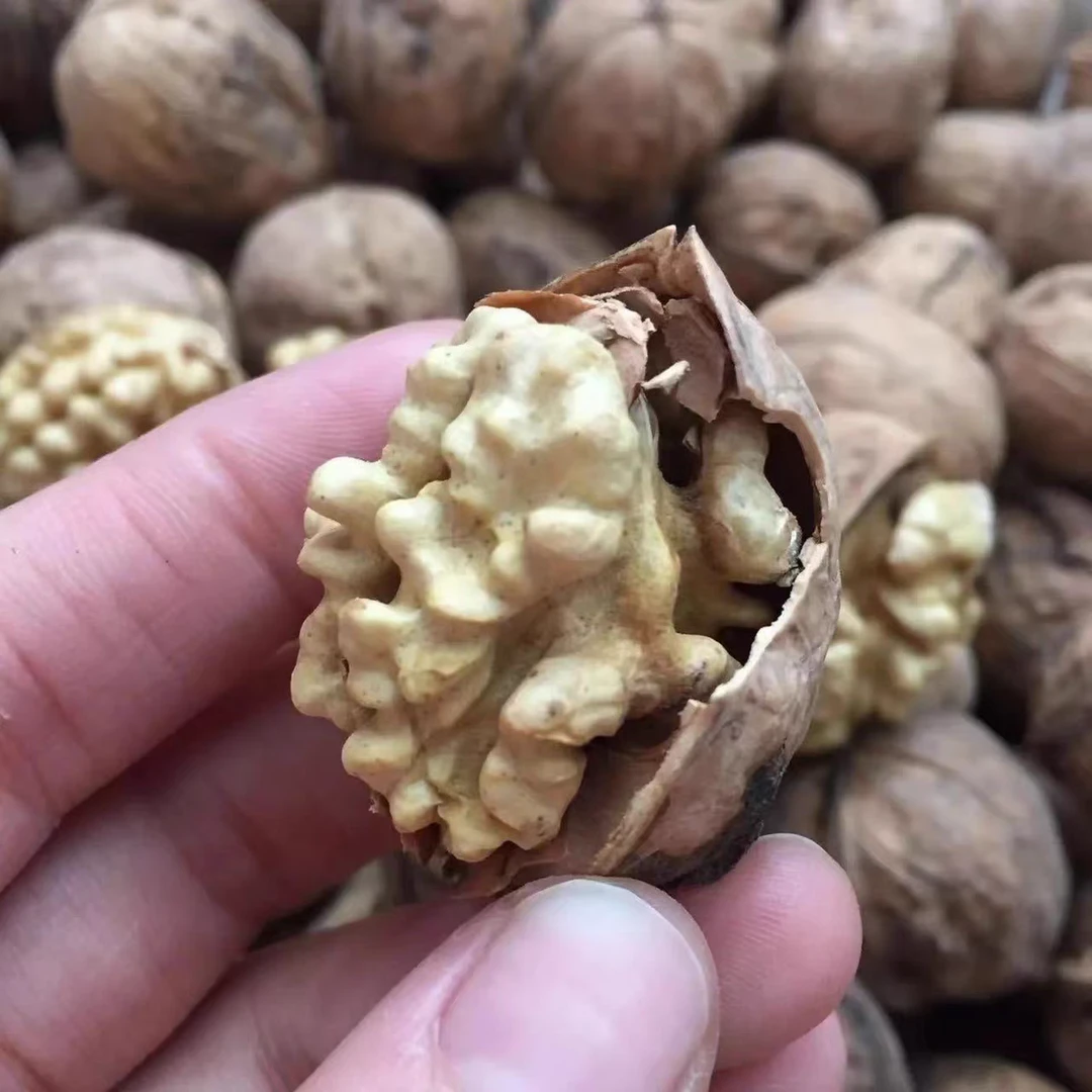 核桃 185 纸皮核桃 未加工产地直发新疆特产