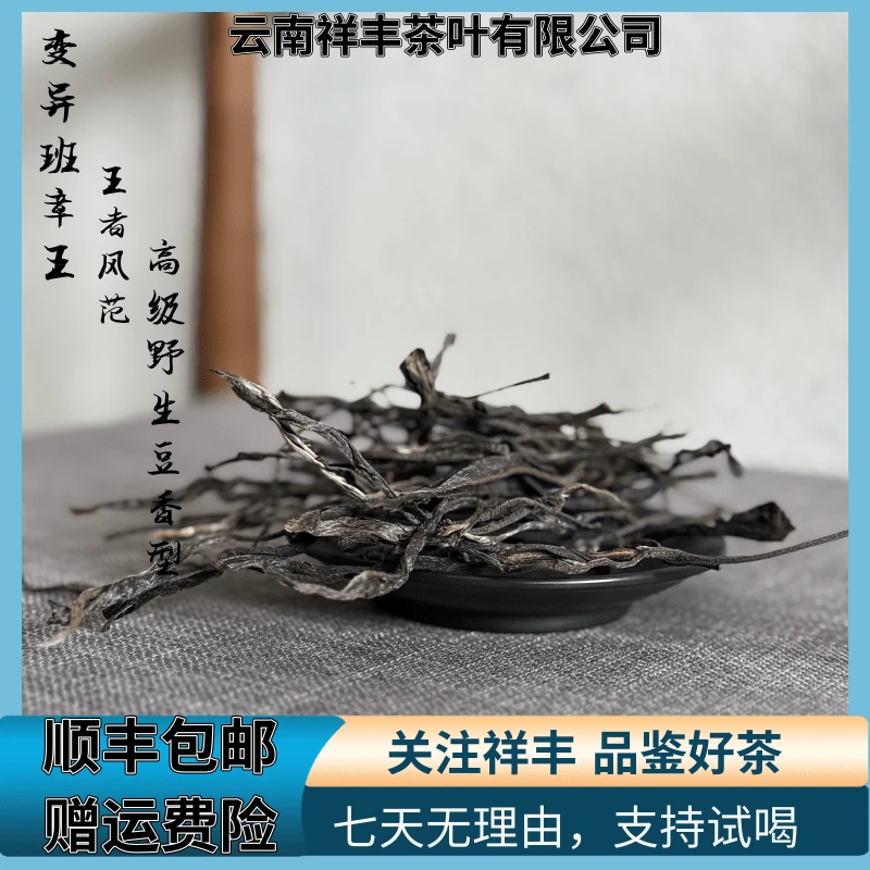 【祥丰茶叶】2024年/班章变异单株/生普/300克