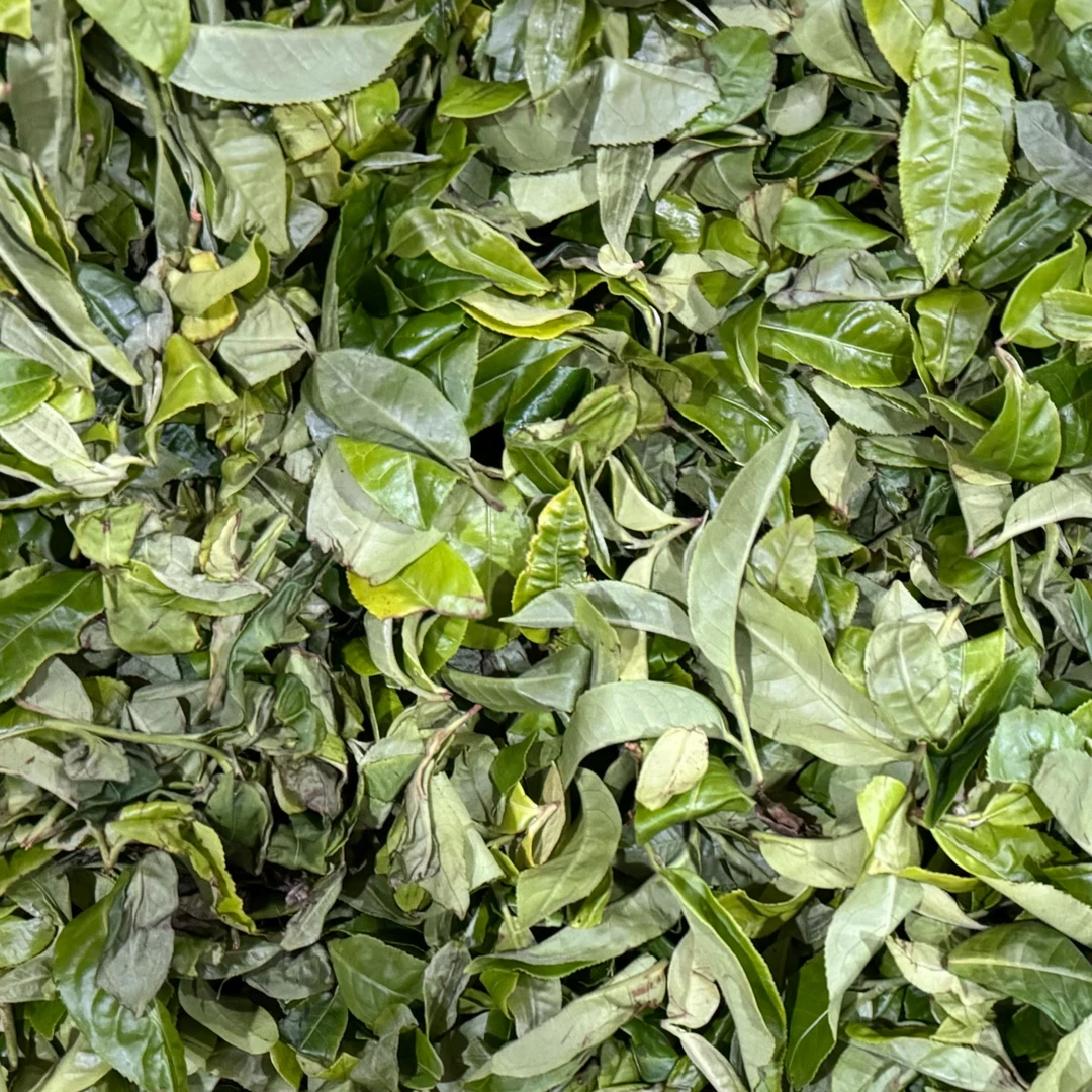 【祥丰茶叶】2023年/[老曼娥]捉妖兔/普洱生茶/500克