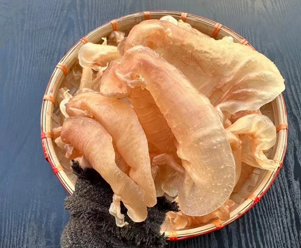 【大虫小鱼】赤嘴鳘鱼胶公胶日常食用花胶鱼胶滋补干货250克