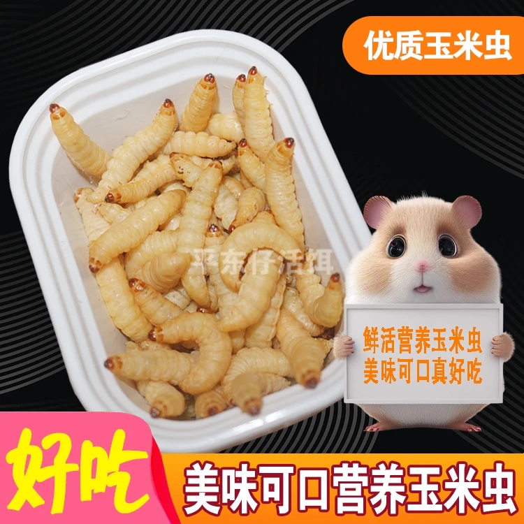 仓鼠饲料玉米虫饵仓鼠粮零食乌龟粮鸟类食物画眉鹦鹉饲料玉米虫饵
