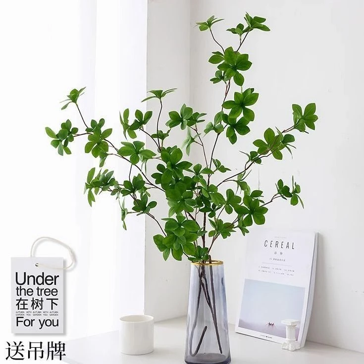 仿真绿植仿真吊钟假树枝餐桌客厅电视柜落地装饰摆件在树下吊牌