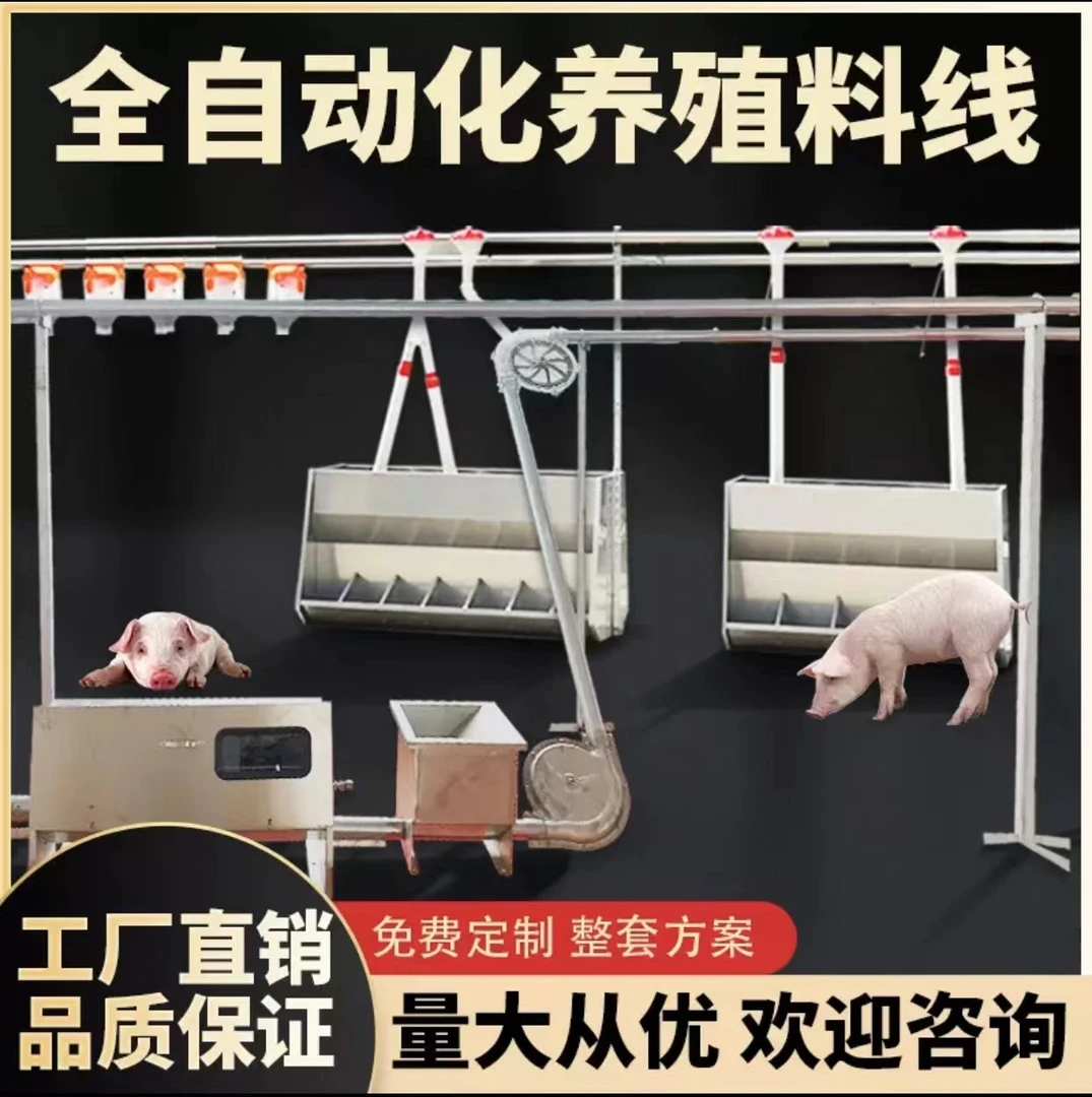 养猪料线养殖场塞盘蛟龙设备配件全自动喂料系统养殖设备