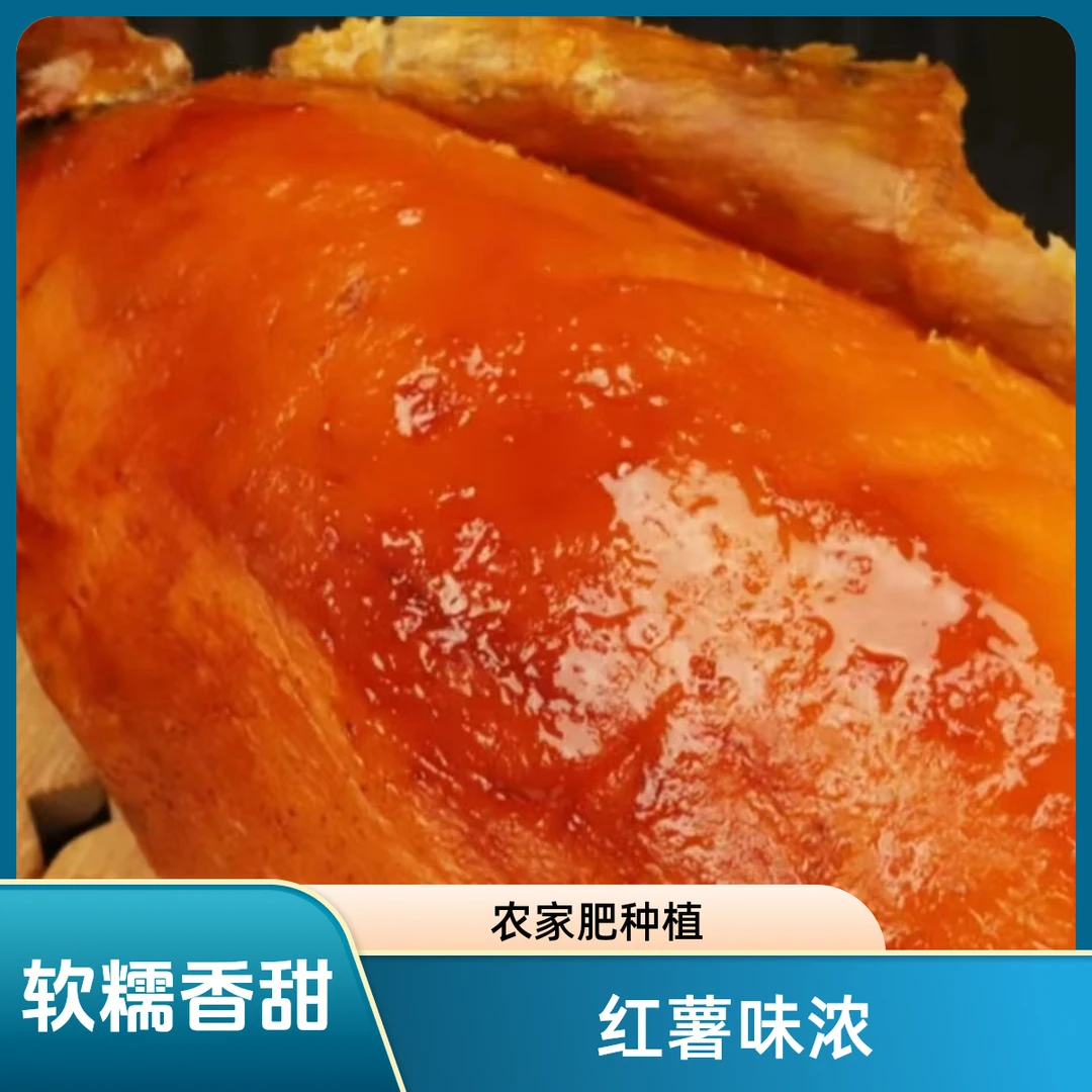 2024年秋季农家农家肥自种黄心蜜薯已糖化软懦香甜包邮包赔包退