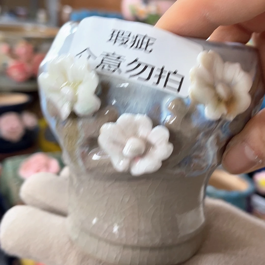 【闪购商品】红陶15cm以下孤品色