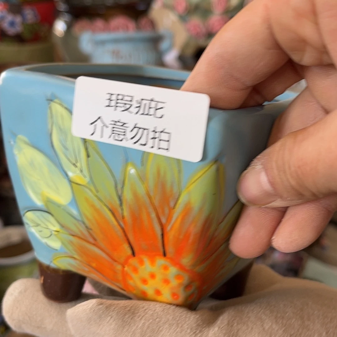 【闪购商品】红陶15cm以下
