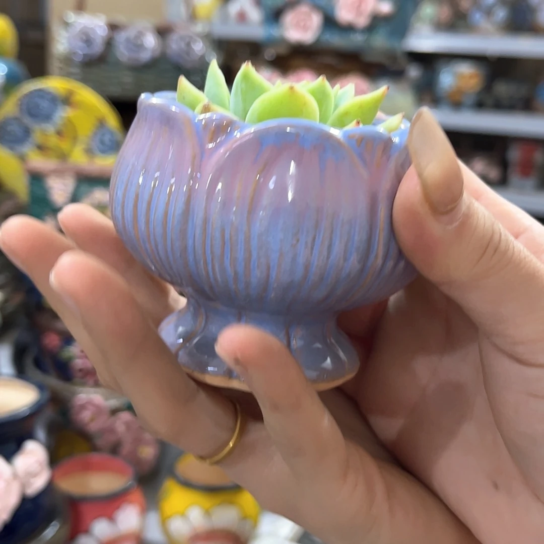 【闪购商品】红陶15cm以下
