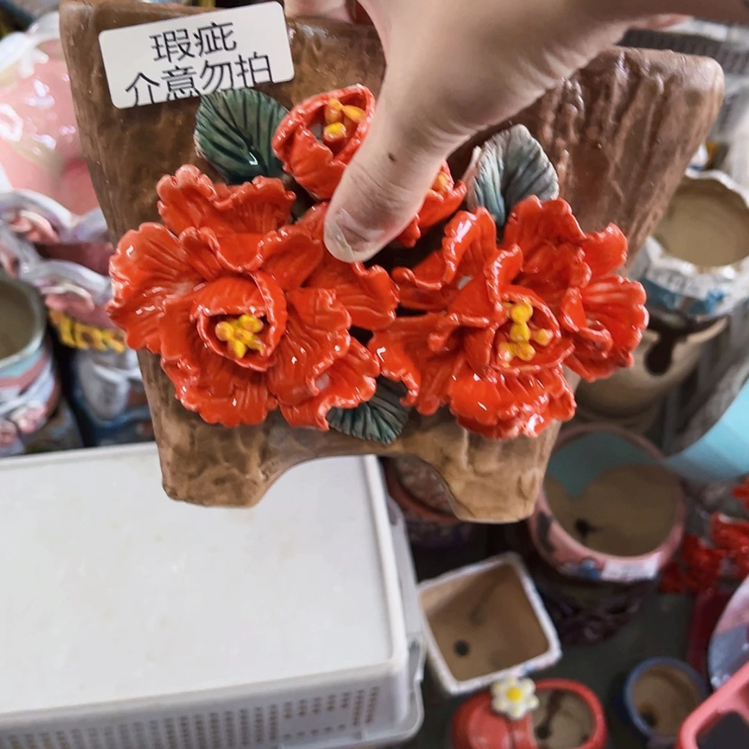 【闪购商品】红陶20CM以下