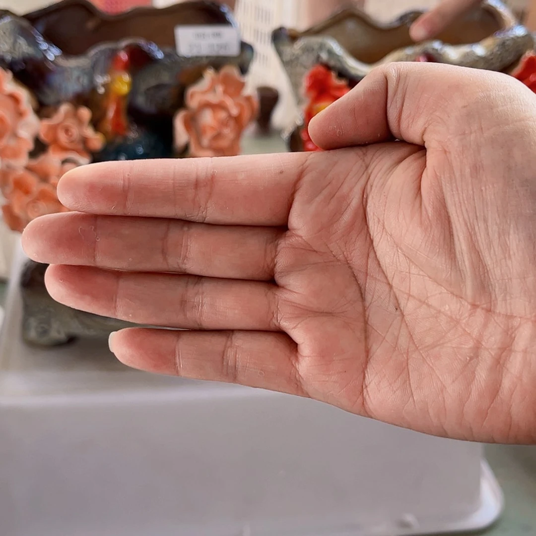 【闪购商品】红陶20CM以下21126