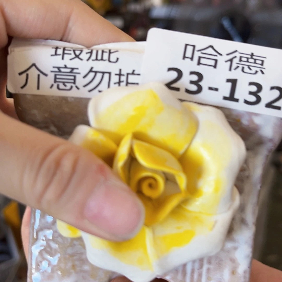 【闪购商品】红陶20CM以下