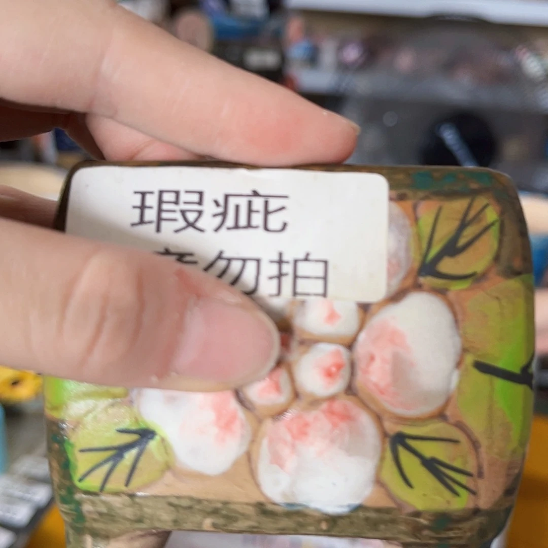 【闪购商品】红陶20CM以下
