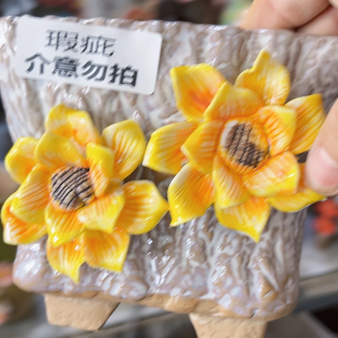 【闪购商品】红陶20CM以下18140瑕疵