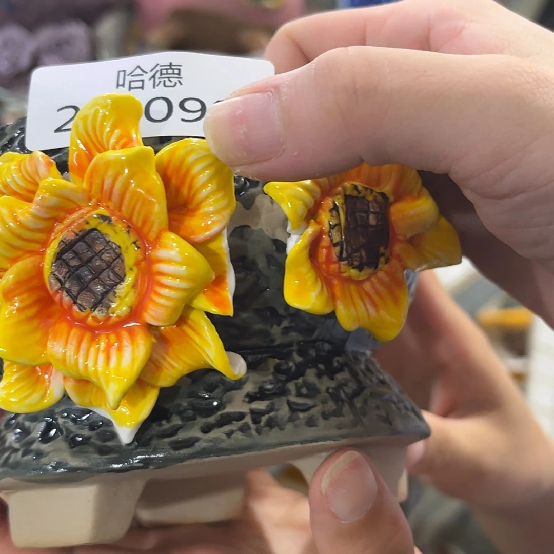 【闪购商品】红陶20CM以下2599瑕疵