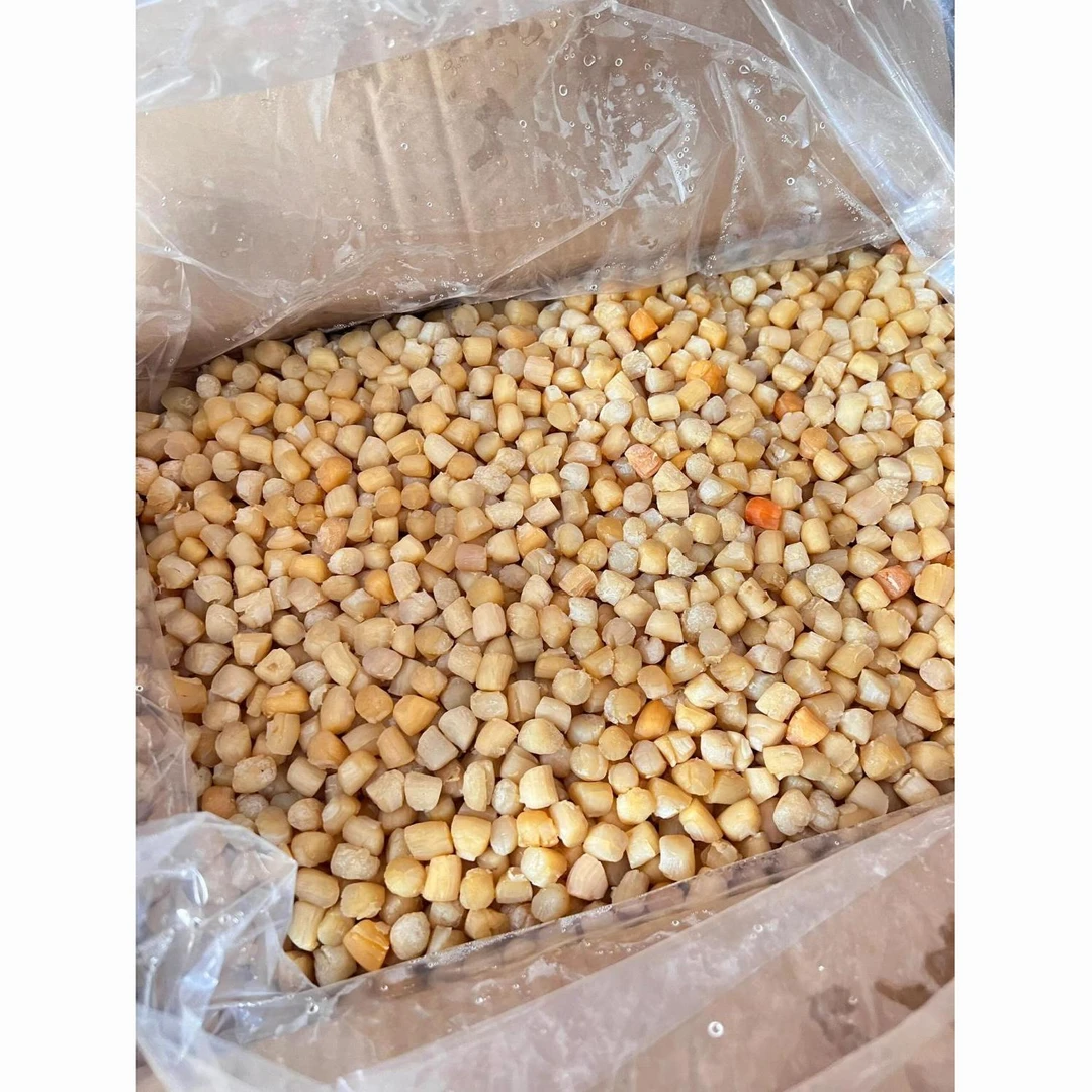南澳本港小号干贝瑶柱600头海鲜干货扇贝肉煮粥煮汤好吃性价比高