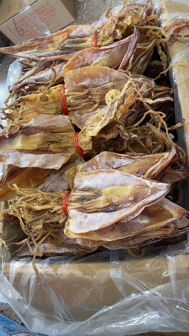 惠安本地鱿鱼母一斤个头 10 只