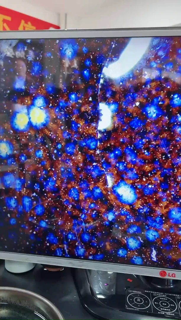 【闪购商品】瓷茶盏5赵丽美@@ZLM00001