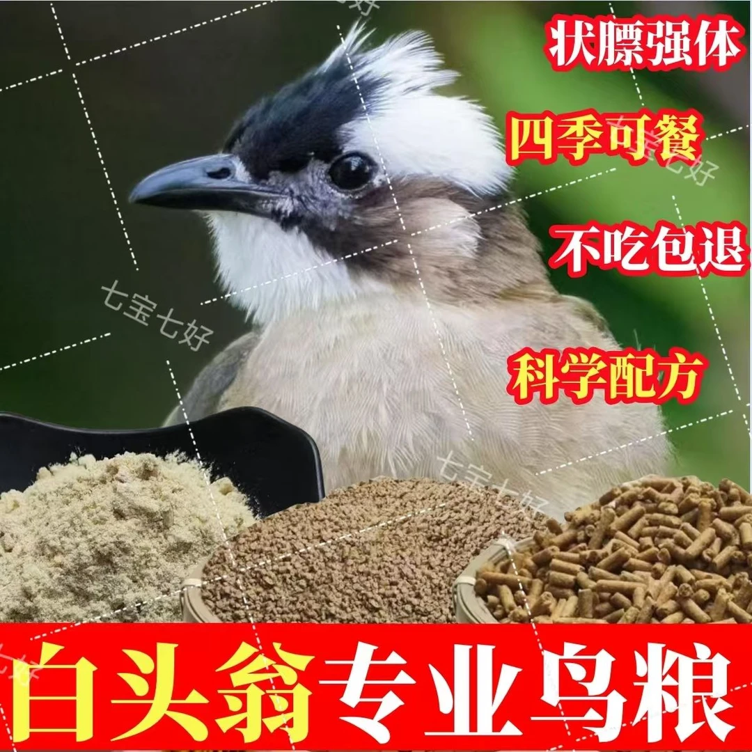 白头翁鸟粮】白头翁鸟食白头鹎山雀鸟鸟食饲料鸟粮长尾四喜鸟饲料