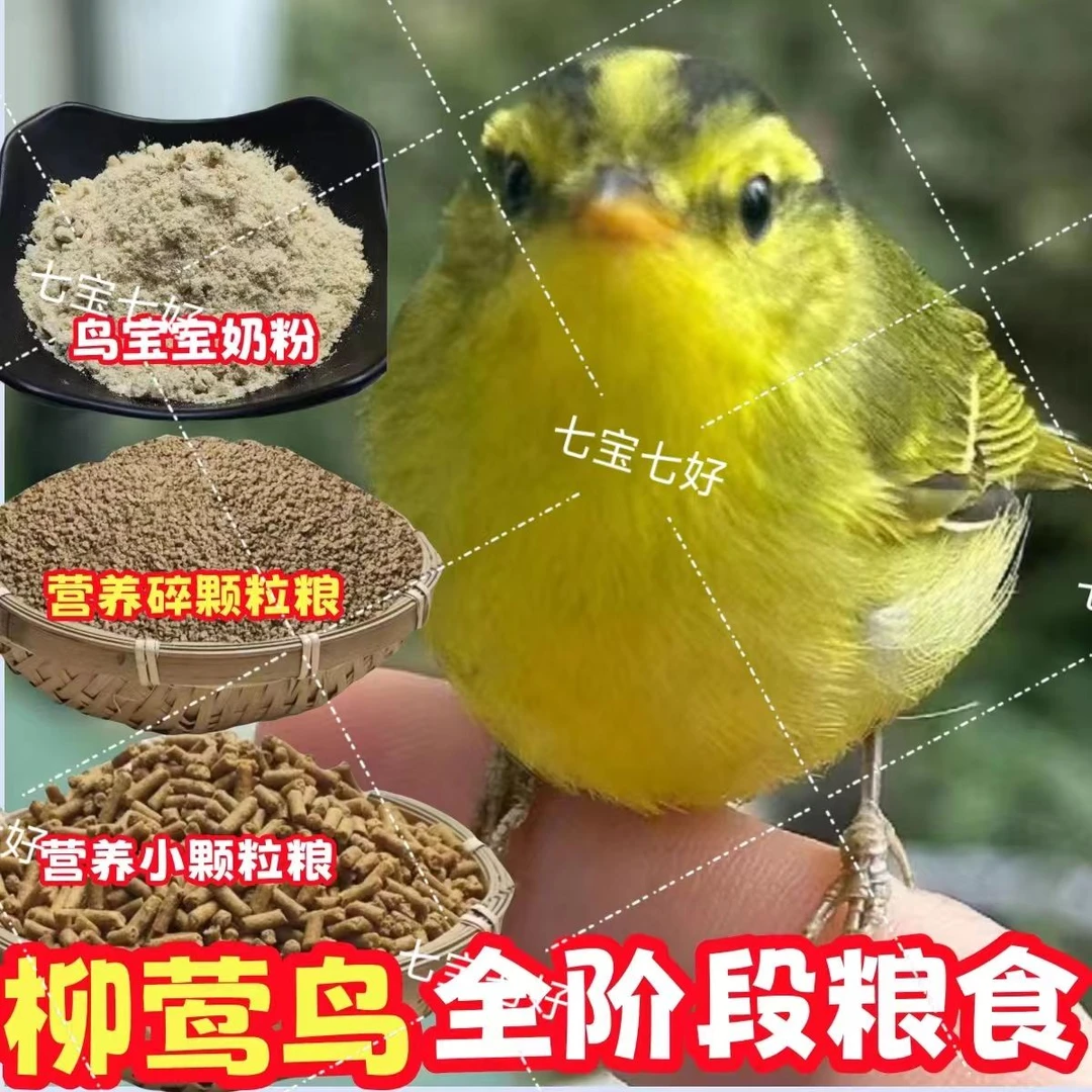 【柳莺鸟食】黄眉柳莺饲料开食料柳串儿槐树串儿树叶儿鸟食饲料