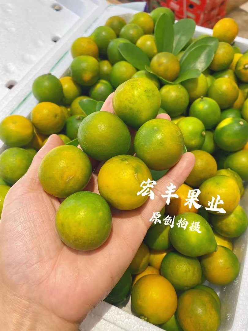 金桔 1斤