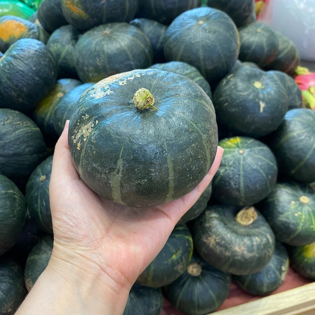 贝贝小南瓜1个