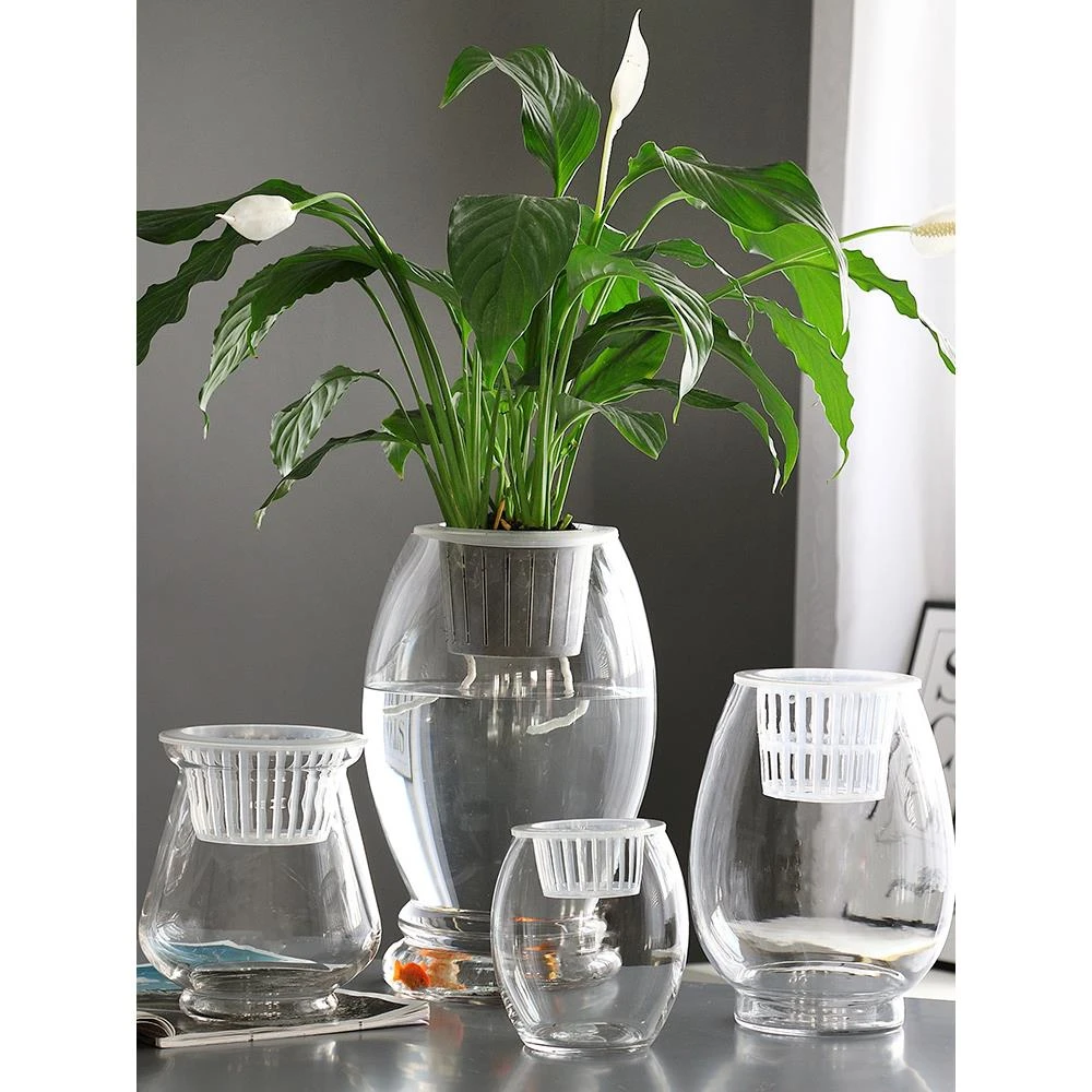 水培植物塑料瓶透明塑料花瓶器皿绿萝铜钱草室内客厅鱼缸容器大号